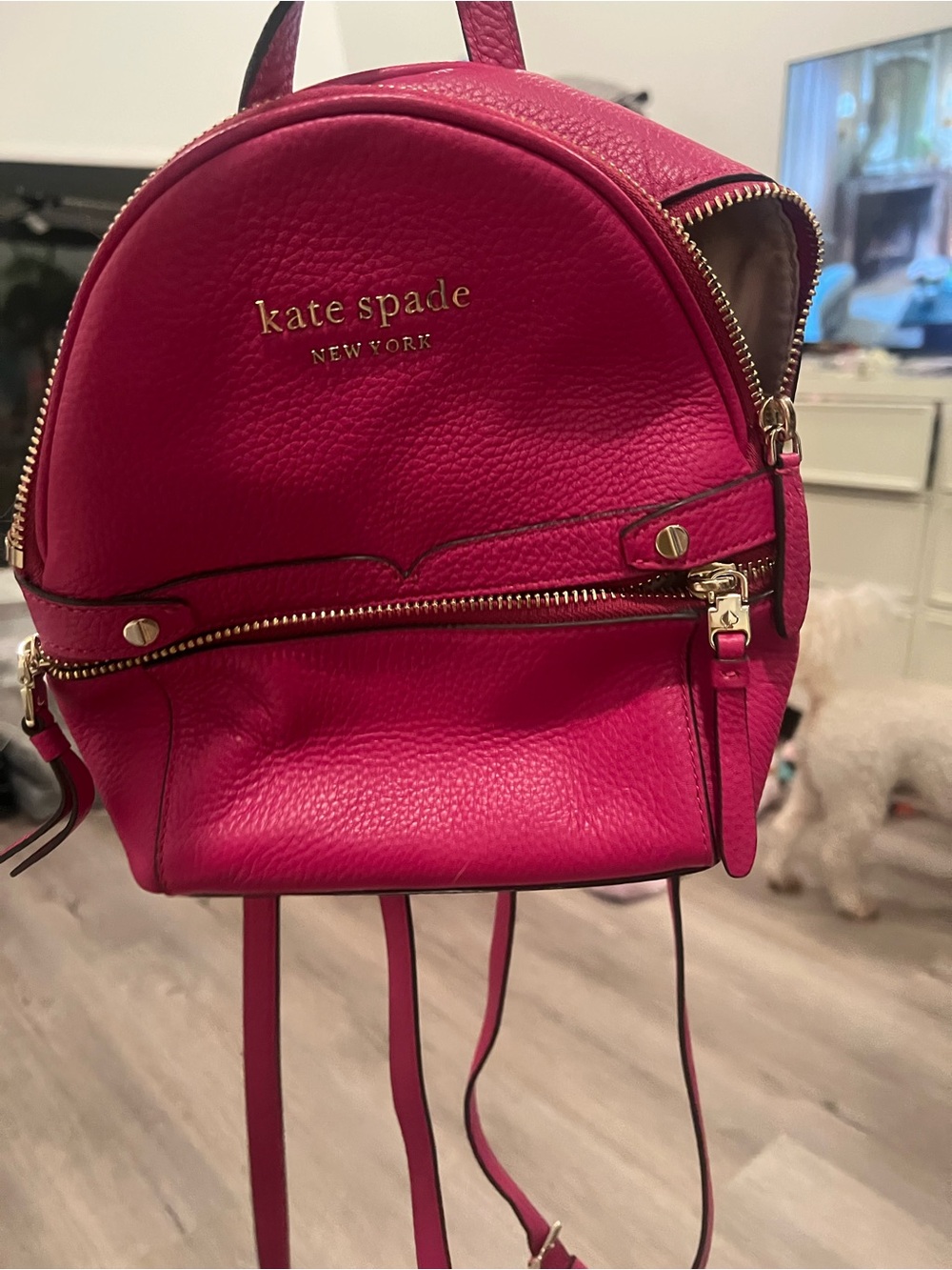 kate spade Small Hot Pink Leather Backpack with Gold Hardware